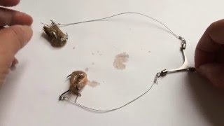 Download Diy-fishing Tips - How To Setup Rig For Silver Pomfret - Thẻo Câu Cá Chim Trắng Video MP3 Diy-fishing Tips - How To Setup Rig For Silver Pomfret - Thẻo Câu Cá Chim Trắng