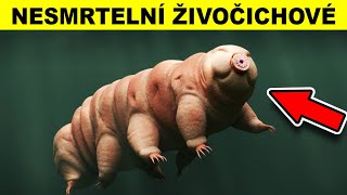 TOP 5 NESMRTELNÍ ŽIVOČICHOVÉ