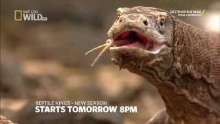 Nat Geo Wild Hd Wild Cambodia