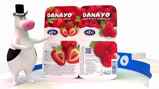 DANAYO Fruit-Mix Yogurt Desert from DANA Dairy - Real Chunks of Fruits in 4 Flavours