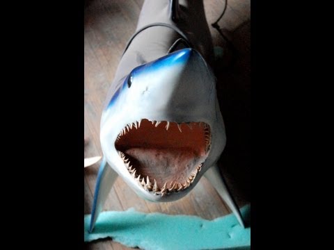 taxidermy-aquatic-marine-molds-for-sale-(sold)