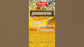 I Lost My Mind Making This Quiz! Can You Beat This Quiz  Questions That’ll Stump 99% of People!3