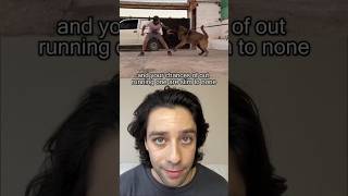 How to Survive a Dog Attack #Shorts