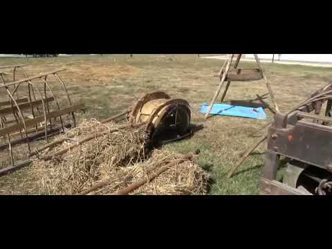 The municipality’s visitor portal published this 71-second promotional spot on 10 July 2026 for the Festa del Grano e degli Antichi Mestieri. The festival programme for that year presented grain work, traditional crafts, walks, food and music as a community event. This brief clip is a seasonal preview, not a guide to everyday opening hours or a guarantee that the same programme returns. It complements the street tour by showing how local heritage is also practised through public events; consult the current municipal calendar for future dates.