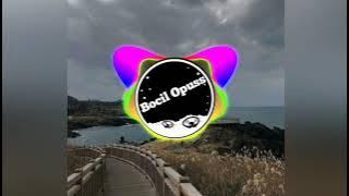 DJ BOMA BOMAE VIRAL TIKTOK 2021