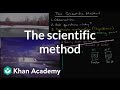 Mastering the Steps of the Scientific Method Through Real-World Examples