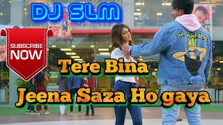 Tere Bina Jeena Saza Ho Gaya || Official Punjabi DJ Song 2019 || Remix By DJ SLM