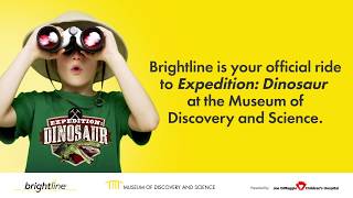 Brightline Dino Train