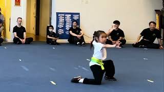 Belt Test - 少林五形拳 (Level 6)