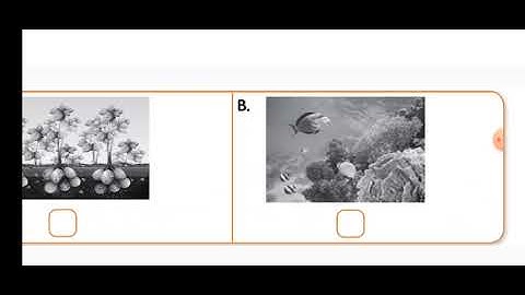 CLASS 4    BLOCK  16.2 HYDROSPHERE, SOCIAL SCIENCE