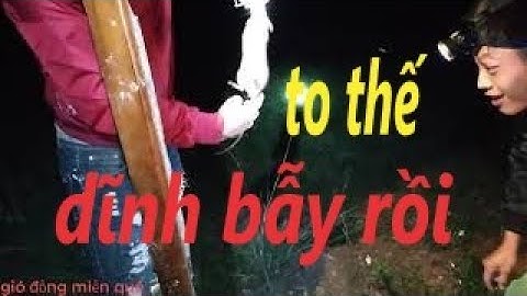 săn đêm bẫy chuột đồng & làng nghề đình bảng đọc nhất tại bắc ninh - TT66