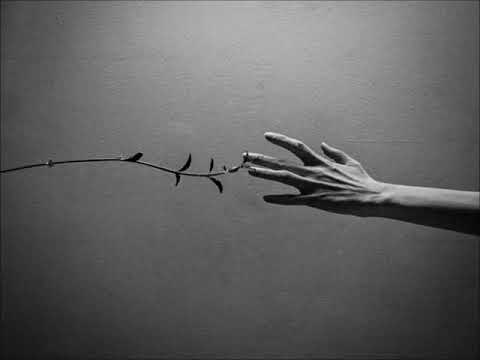 Πατρίδες - Χρύσα