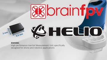 Gyros, Brain and Helio (Helio died, bye bye 🙄)