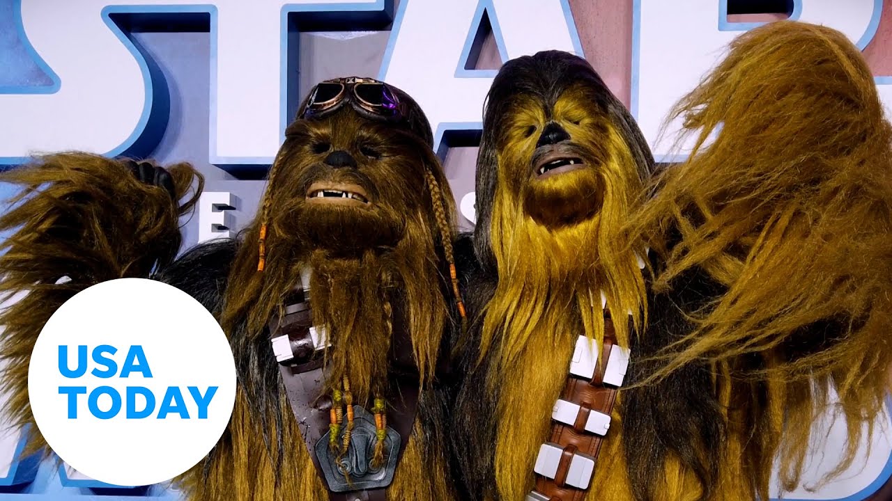May the 4th be with you: how the date became a Star Wars ...