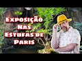 EXPOSIÇÃO NAS ESTUFAS DE PARIS