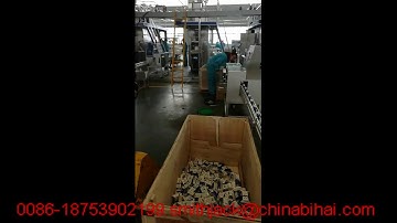 Gs Pak® 125ml filling machine and Straw Applicator in debugging