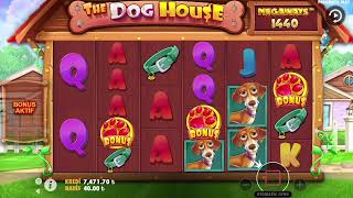 Slot Oyunları Dog House ile sizlerleyiz öde ulan kara ! #slotoyunları