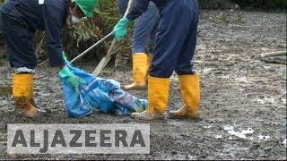 Nigeria oil spills: Shell begins clean-up after 10-year delay