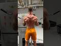 Try these for shoulders on the cable
