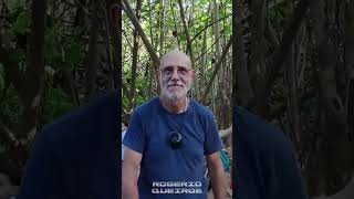 Como Usar O Dji Neo Na Produção De Vídeos.