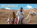 Sahara Desert of Marrakesh - Meeting the Berber People of Morocco