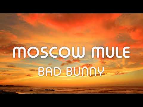 Bad Bunny -