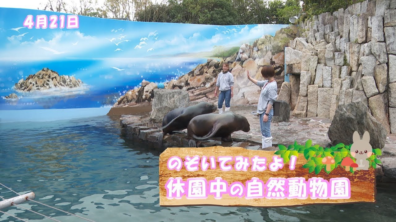 のぞいてみたよ！休園中の自然動物園 - YouTube