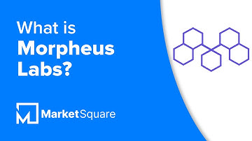 What is Morpheus Labs? | Blockchain Development | Integrated Platform Services | SEED Platform