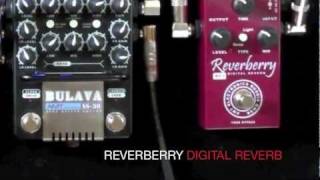 AMT SS-30, Reverberry - To Laney VC50 Pwr Amp And 2x12 Cab (Greenbacks) AMT SS-30, Reverberry - To Laney VC50 Pwr Amp And 2x12 Cab (Greenbacks)
