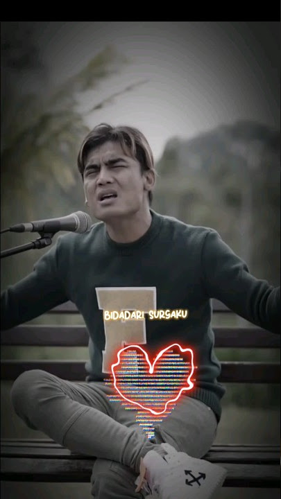 wa story charly bidadarisurga #charlyvanhouten #cover #music #shortvideo #story #bidadarisurga #st12