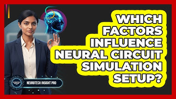 Which Factors Influence Neural Circuit Simulation Setup?