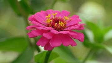 /سعود الشريم مقطع قران قصير تلاوة خاشعة من روائع الشيخ