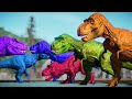 Dinosaur Tyrannosaurus Rex vs Indoraptor vs Triceratops 2023 Battle Jurassic World Evolution Fight !