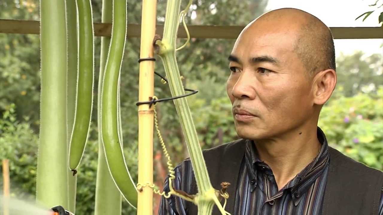 Meister Nam Meister Nam