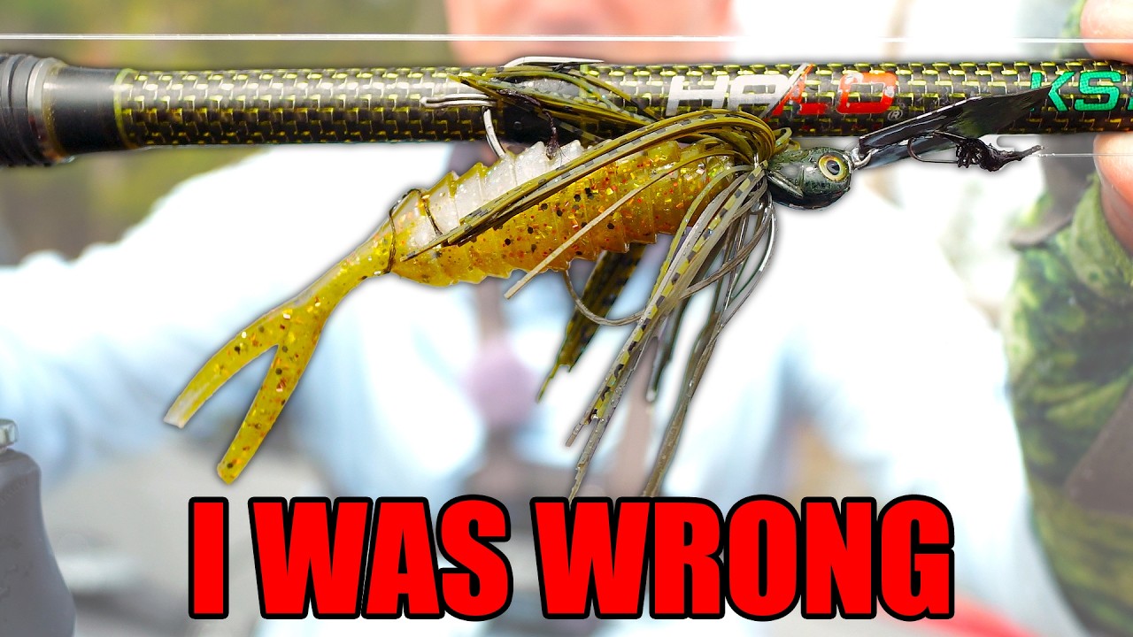 This will Change Everything you Believe about CHATTERBAIT Fishing