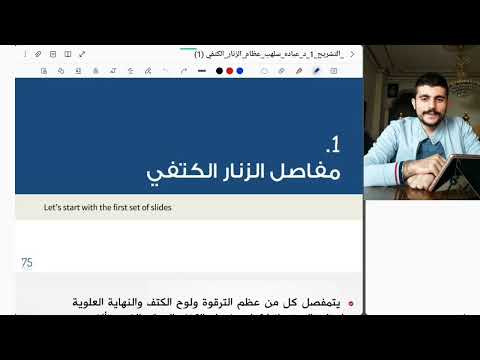 تشريح الأطراف الطرف العلوي مفاصل الزنار الكتفي   