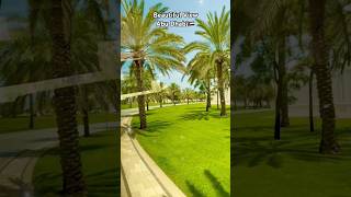 Beautiful Nazare thenomadicamit latest love viral song trending foryou dubai travel