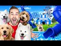 Ik Bouw Een Pretpark Voor Honden In 1 Kleur! *Verrassing*