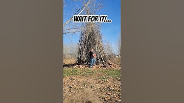 Bonfire Fail #gas #fire #fall #fail #explosion