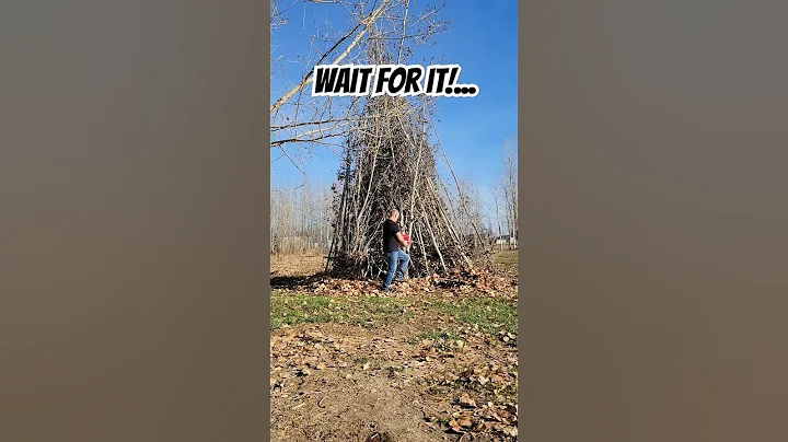 Bonfire Fail #gas #fire #fall #fail #explosion