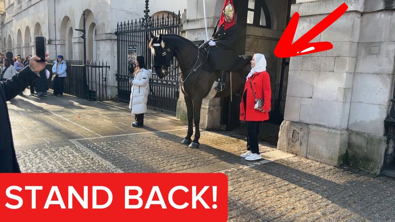 	“Stand Behind the Line!” Guard Warns Tourist Near Horse