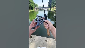 Trải nghiệm câu cá thư giãn vào cuối tuần #lurefishing  #fishing #shorts