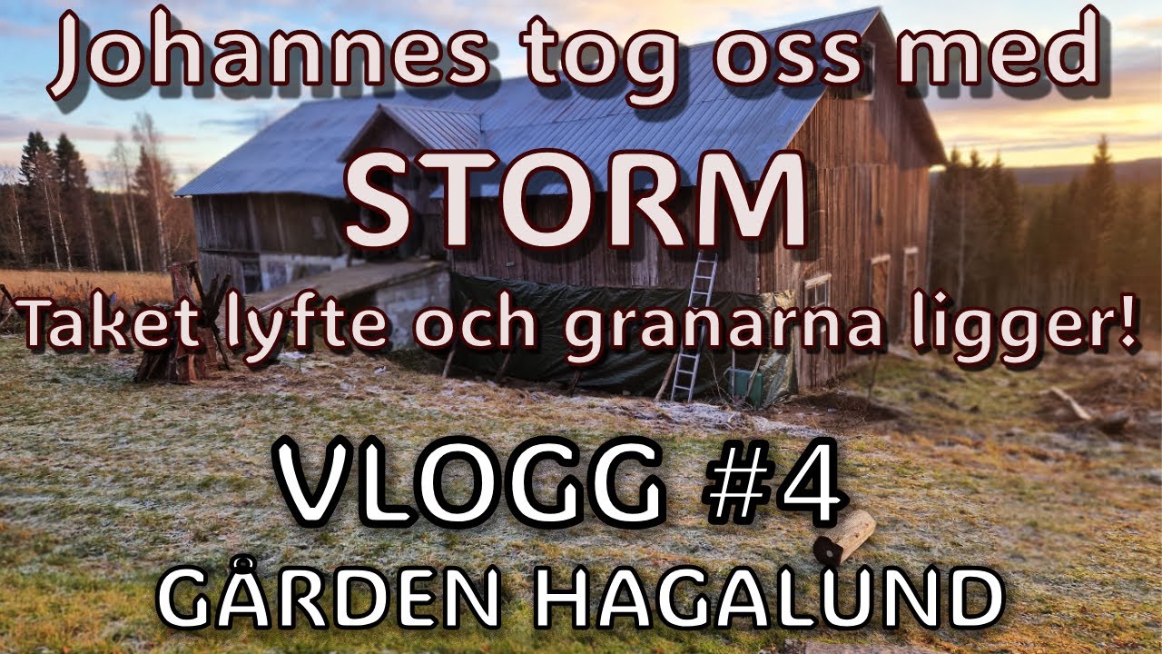 Jag tänkte städa i lagårn, men stormen Johannes ville annat