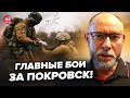 ⚡️ЗАРАЗ! У Покровську ХАОС. Тепер ясно що задумав ПУТІН. ЖДАНОВ розклав усе ПО ПОЛИЧКАХ. Ключові БОЇ