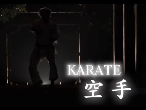 Video: Karate Là Gì