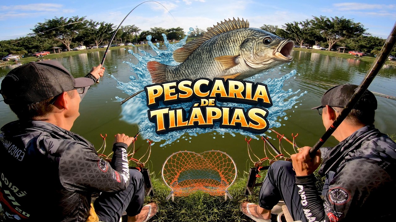 Veja o que aconteceu nessa pescaria de TILÁPIAS no pesqueiro BIAZI - Louveira-SP