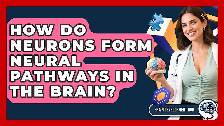 How Do Neurons Form Neural Pathways In The Brain? - Brain Development Hub