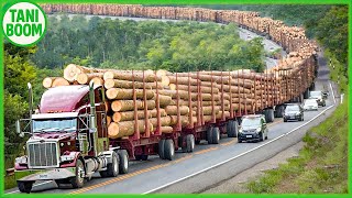 Mengangkut Kayu Raksasa Dengan Cara Ini - Mesin Berat Terbesar Di Dunia Teknologi Pertanian