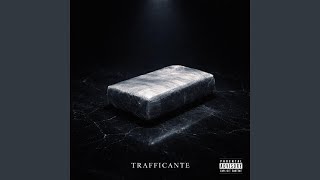 Celebrity Trafficante Wealth