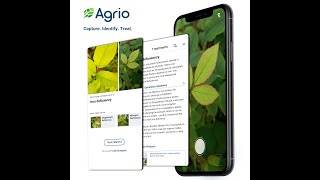 Easy to use plant doctor screenshot 2